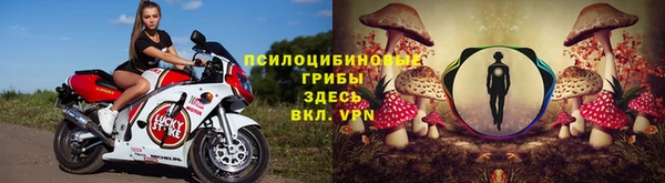 прущая мука Арсеньев