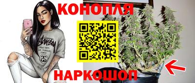 дмт Белореченск