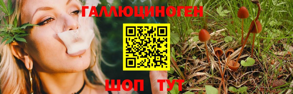 Псилоцибиновые грибы Асбест
