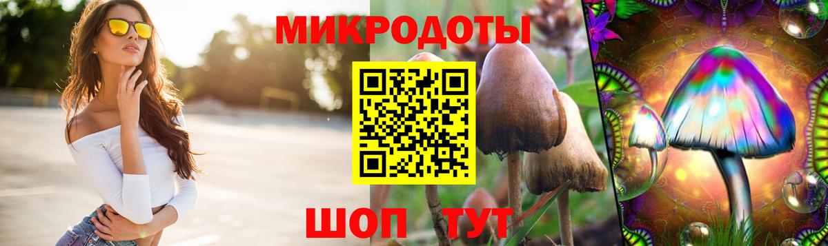 Галлюциногенные грибы GOLDEN TEACHER Асбест
